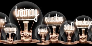 image of light bulbs with these words coming out like: development, learning, training, growth, education, skill, knowledge, goal